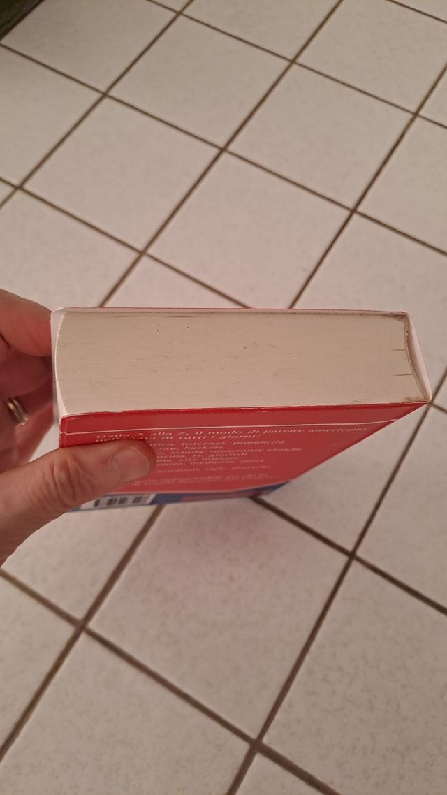 Dizionario di slang americano