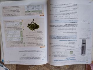 Matemàtiques. 3 ESO. Construïm