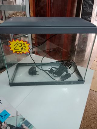 Pecera pequeña