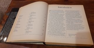 The Golden Future OSHO (El Futuro de Oro). 1a edic