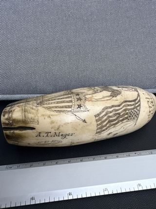 Replica en pasta de Diente fosilizado de ballenero