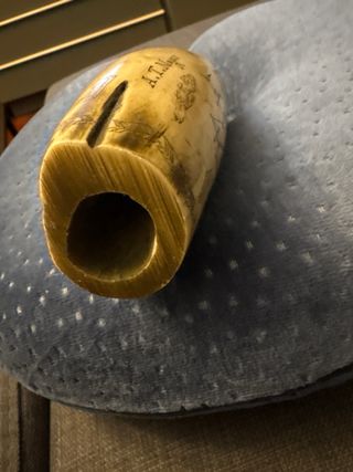 Replica en pasta de Diente fosilizado de ballenero