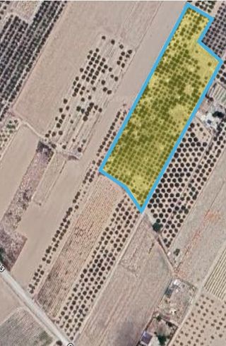 Parcela rústica en Caudete, zona Bogarra