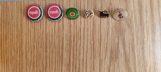 6 Pins Vintage