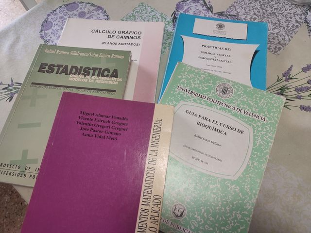 Lote libros Universidad Politécnica de Valencia