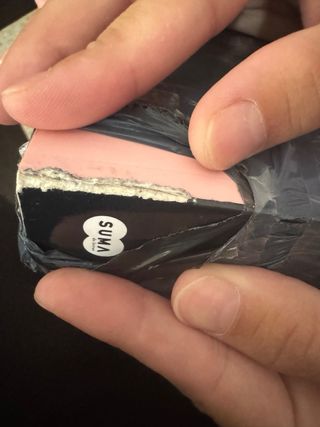 persiguiendo a silvia