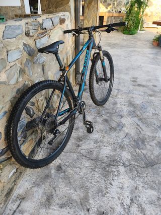 Bicicleta Focus Black Forest MTB rígida.