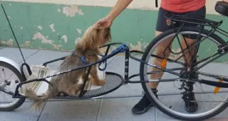 Carro bici Bob trailer nuevo.utilizado una semana.