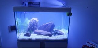 Acuario con mueble
