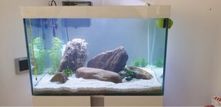 Acuario con mueble