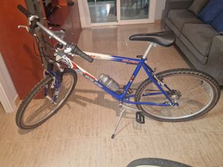 Bicicleta paseo