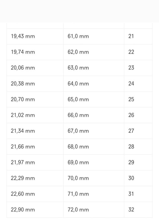 2 FEDI NUZIALI ACCIAIO INOSSIDABILE ORO e ARGENTO