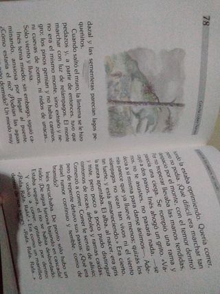 El Arbol de Los Pajaros