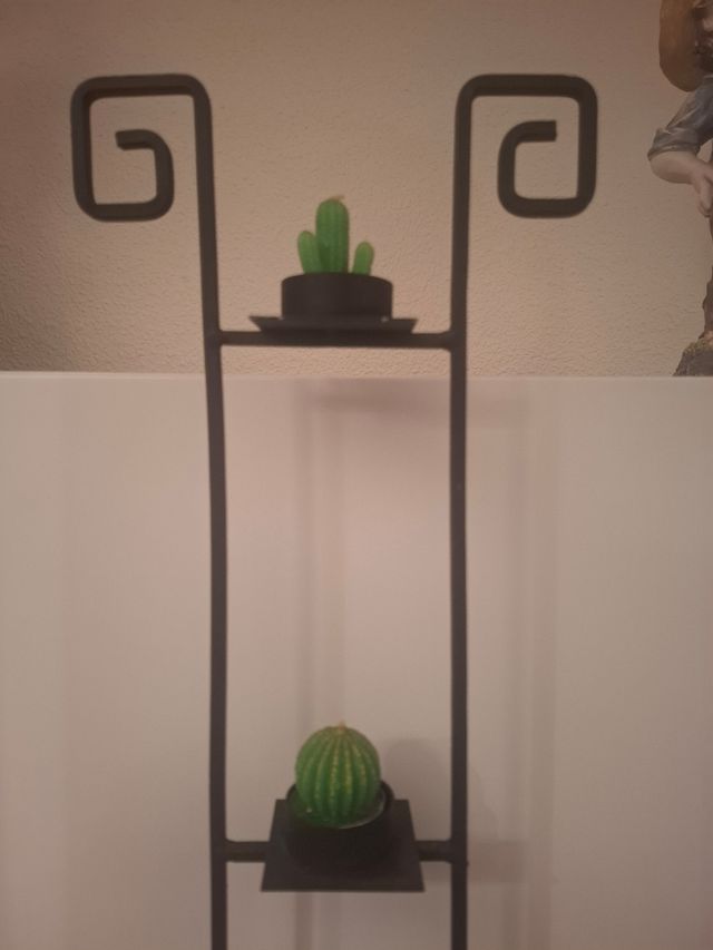 Soporte 3 cactus decoración