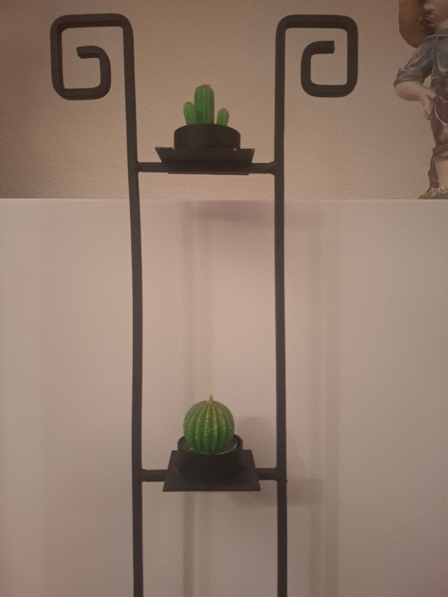 Soporte 3 cactus decoración
