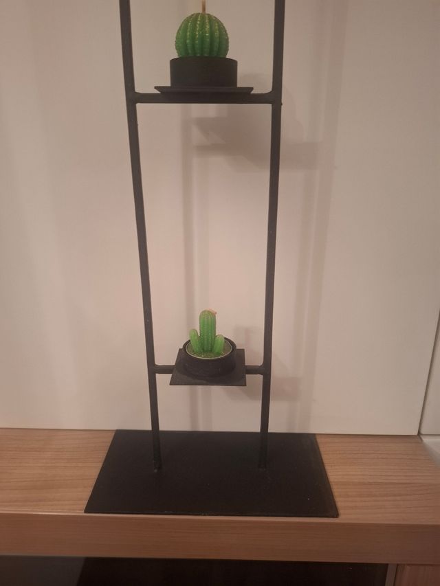 Soporte 3 cactus decoración