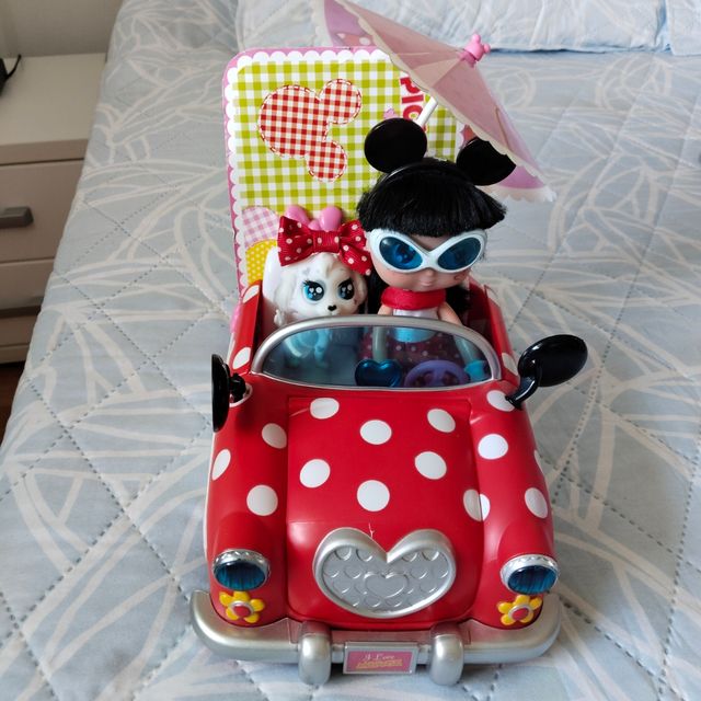 Minnie Mouse Picnic Car