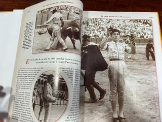 EL LIBRO DE ORO DE LA MAESTRANZA – MANUEL RAMÍREZ