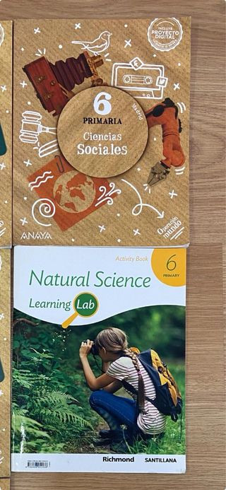Libros de 6 de primaria