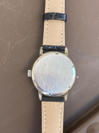 Titanus vintage 17 Jewels