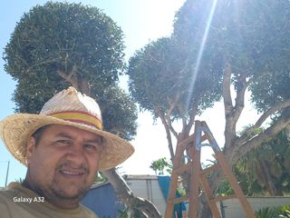 Busca de trabajo