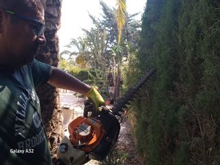 Busca de trabajo