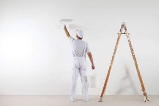 Pintor económico 