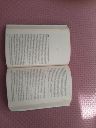 Te veré bajo el hielo