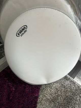 Evans Genera Dry 14" B14DRY-B