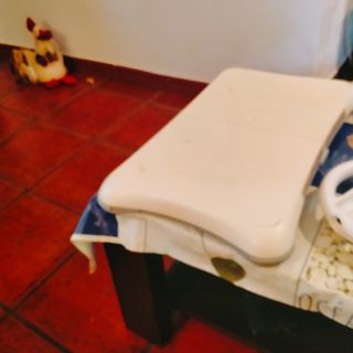 Nintendo Wii blanca + accesorios y juegos.
