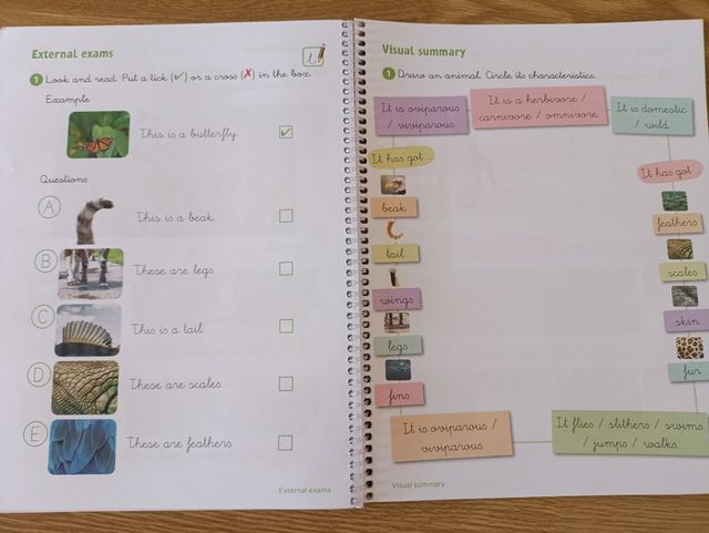 Revuela: Workbook Science Primaria 1