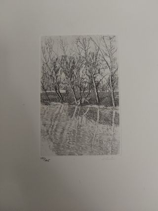 Libro Voz del Árbol - Dámaso Alonso