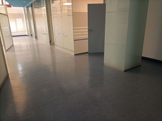 Local comercial en alquiler en Vegueta en Palmas de Gran Canaria(Las)
