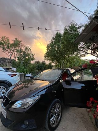 SEAT Ibiza 6J TDI 