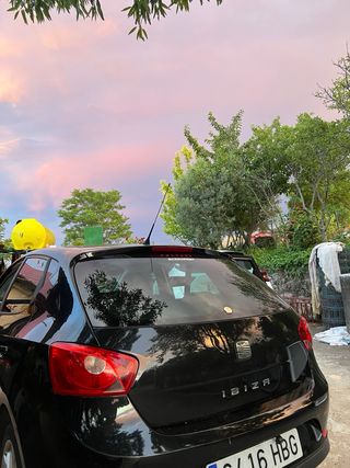 SEAT Ibiza 6J TDI 
