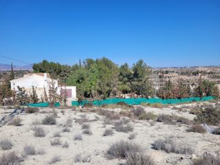 Casa campo - 2000m terreno