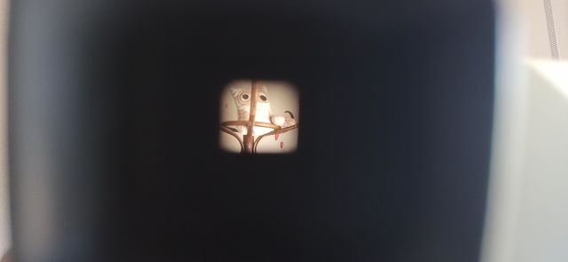 Polaroid SX-70 "The Button" (1972)