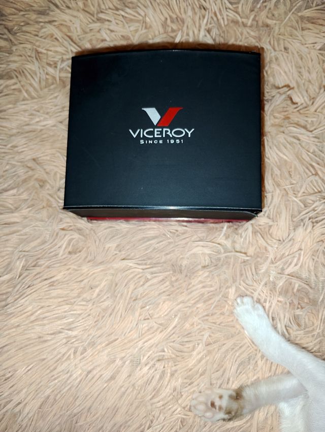 Reloj Viceroy dorado y plateado