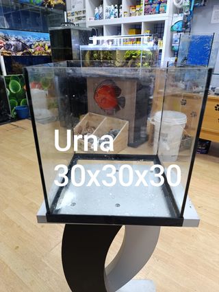 Urna 30x30x30 cm
Recoger en Roquetas de Mar