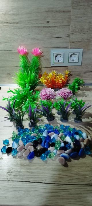 Plantas y piedras acuario