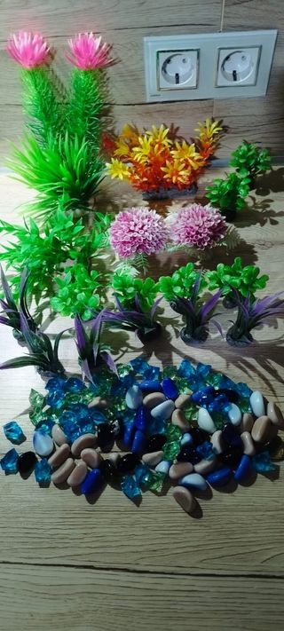 Plantas y piedras acuario