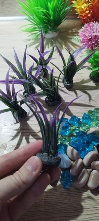 Plantas y piedras acuario