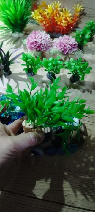 Plantas y piedras acuario