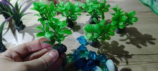 Plantas y piedras acuario