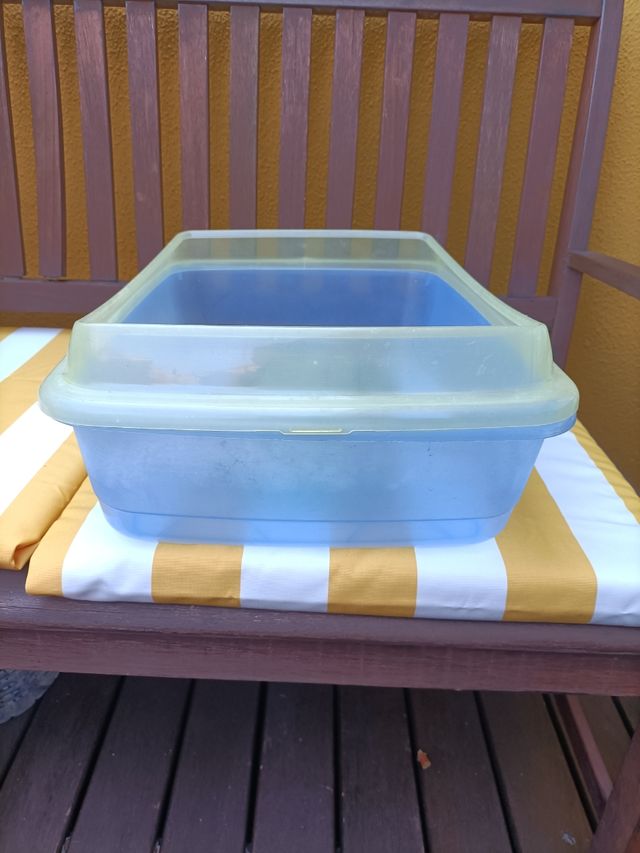 Tortuguera Acuario Transparente