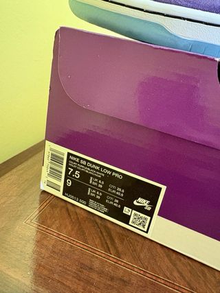 Nike Dunk SB Hayley Wilson 