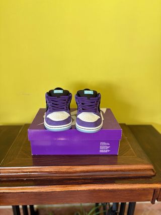 Nike Dunk SB Hayley Wilson 