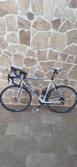 Bicicleta Orbea Aqua Campagnolo, Talla 57 o L.