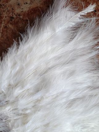 Abanico plumas blanco boda