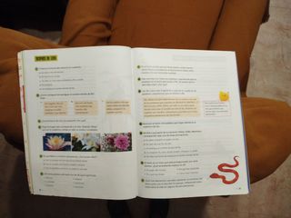 Libros de texto 4 primaria en perfecto estado

